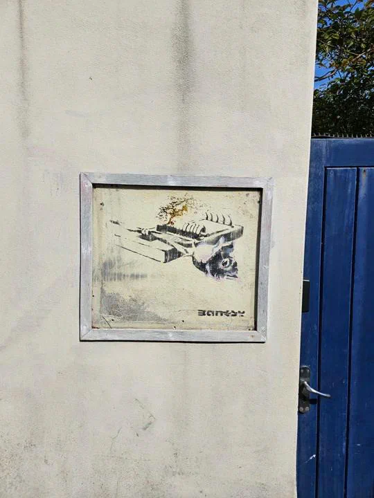 Rose on a Mousetrap