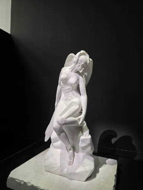 천사의 해부학