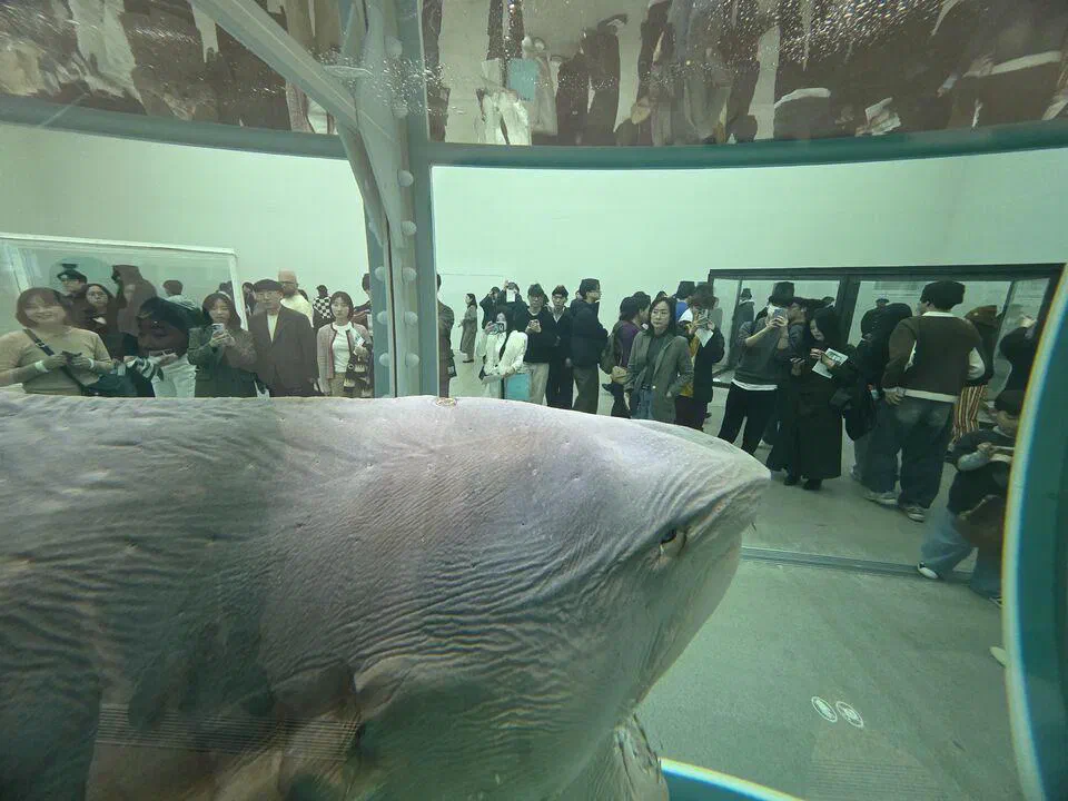 살아 있는 자의 마음속에 있는 죽음의 물리적 불가능성