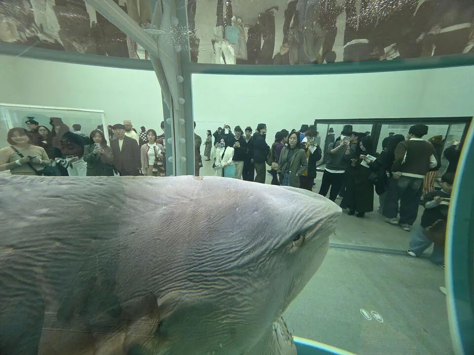 살아 있는 자의 마음속에 있는 죽음의 물리적 불가능성 1
