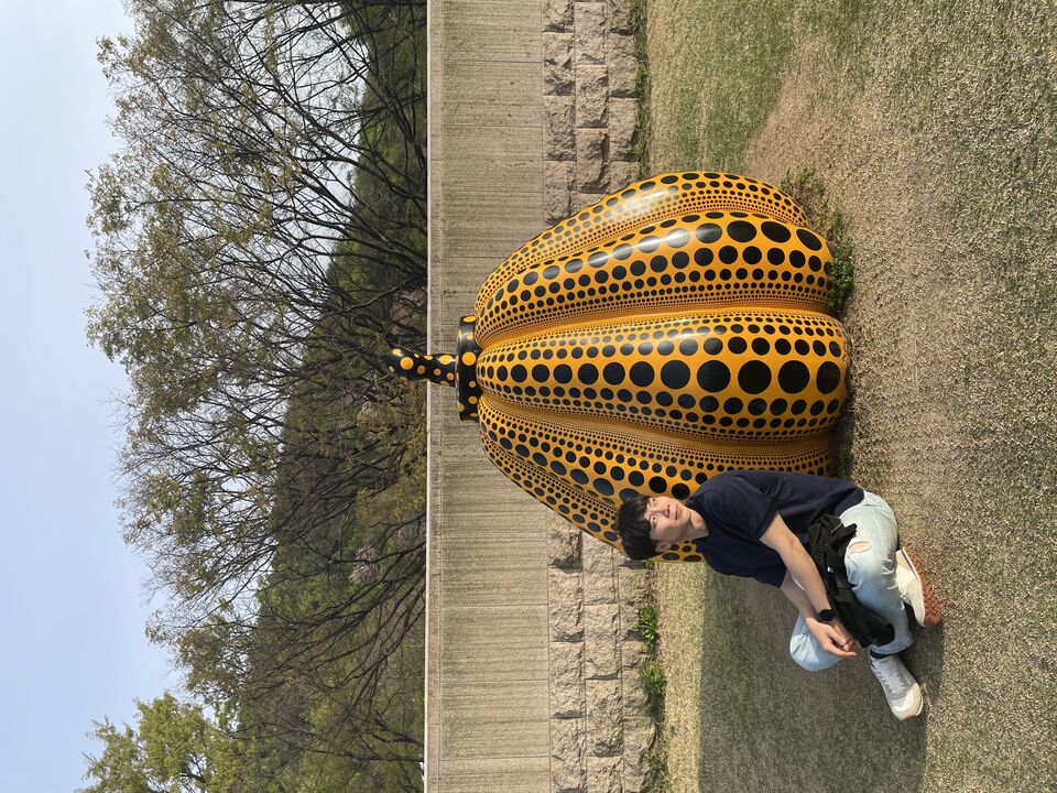 국립현대미술관 과천에서의 호박