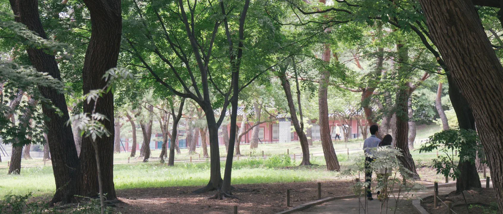 2016 발표용 선택
