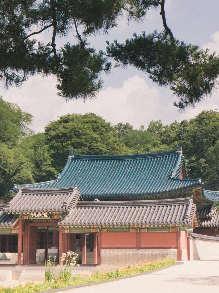 2016 발표용 선택