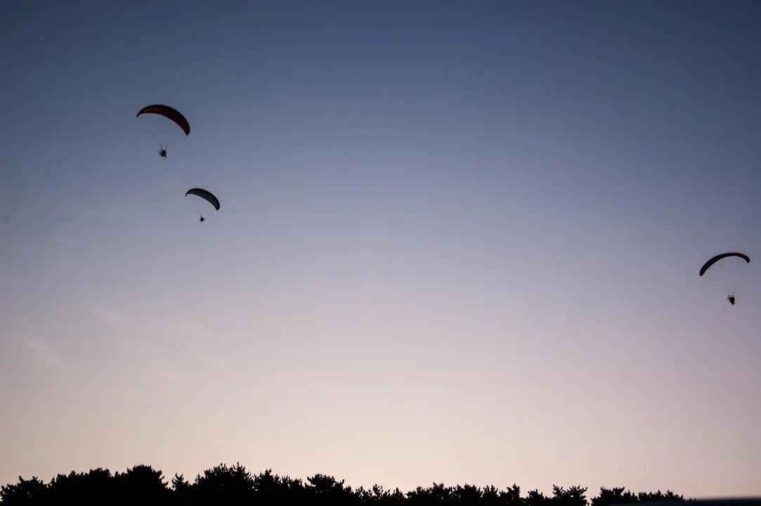 2016 발표용 선택