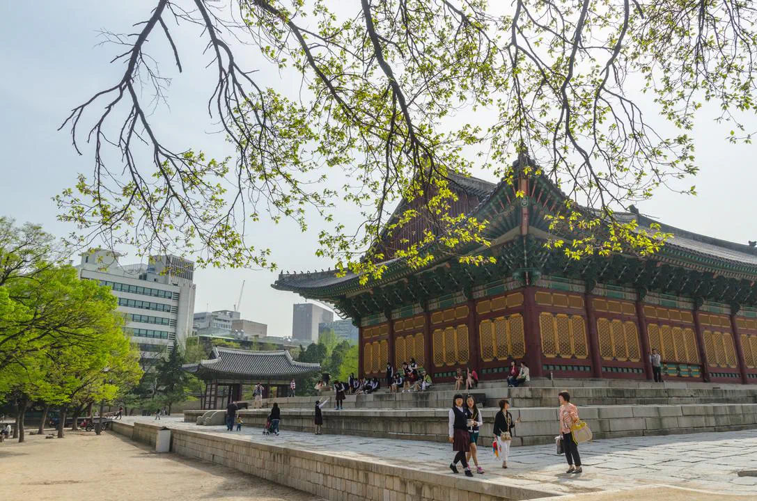2016 발표용 선택